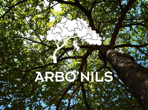 Site internet Arbo'Nils