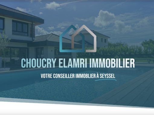 Site internet Choucry Elamri