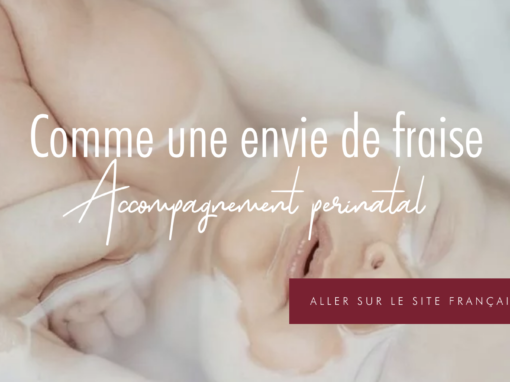 Boutique en ligne Comme une Envie de Fraise